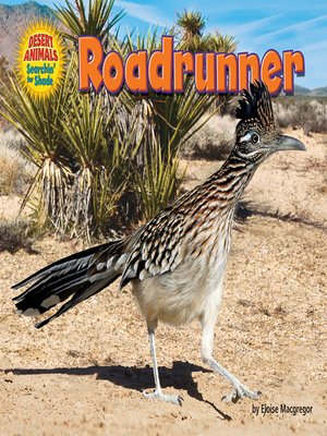 cover image of Roadrunner